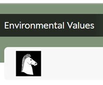 environmental values