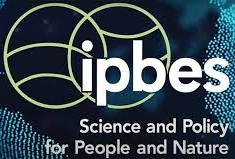 ipbes