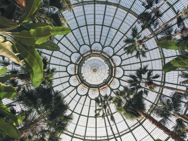 vue du Jardin d’hiver des Serres royales de Laeken – crédit photo : © Marie-Françoise Plissart